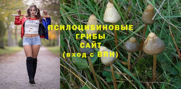 гашиш Белокуриха