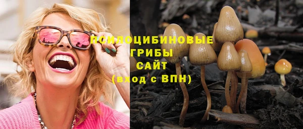 амф Белоозёрский
