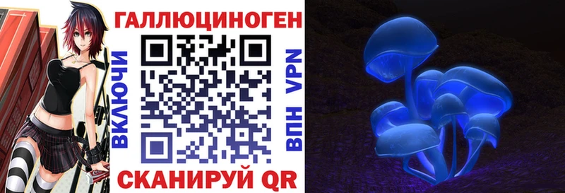 Галлюциногенные грибы мицелий  Купить закладки  Междуреченск 